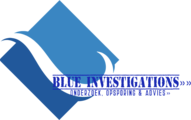 Blue Investigations»»